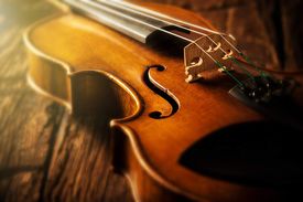 Musikinstrumente-Versicherung 